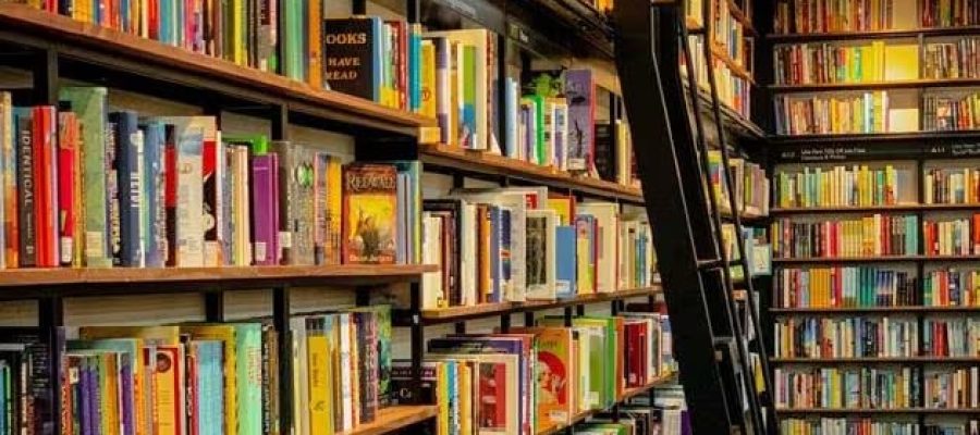 Publishing Houses in Delhi NCR – Understanding Process